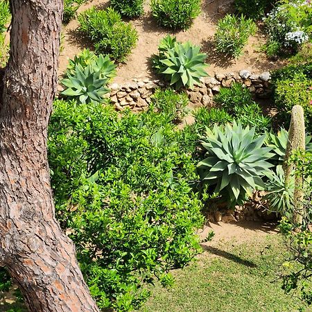 Elena Flat Lovely Paradise Above The Sea Sitio de Calahonda المظهر الخارجي الصورة