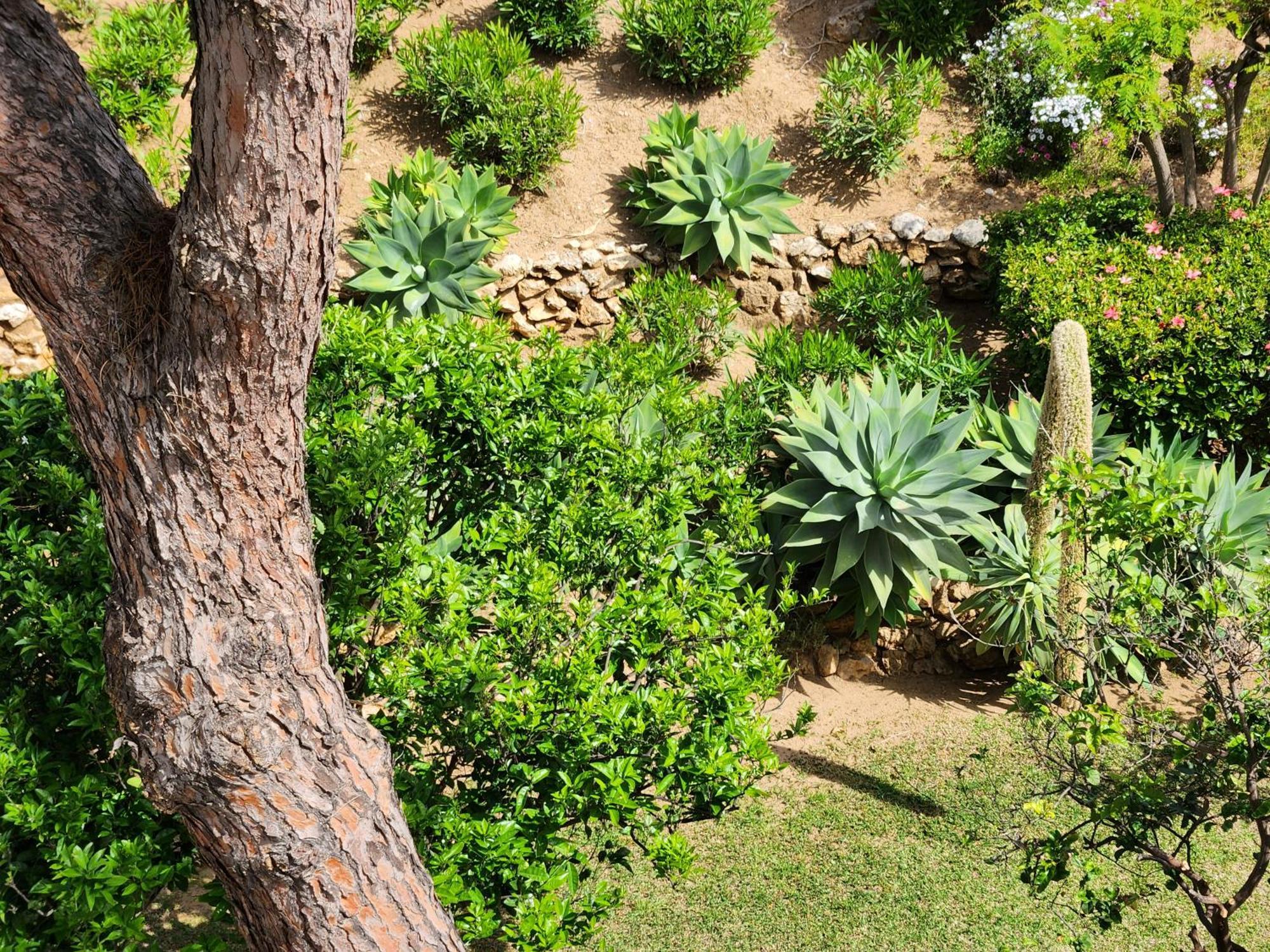 Elena Flat Lovely Paradise Above The Sea Sitio de Calahonda المظهر الخارجي الصورة